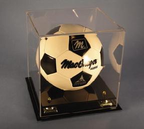 Soccer Ball Case